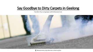 Affordable and Effective Carpet Steam Cleaning Geelong