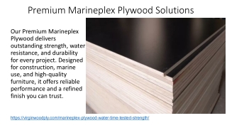 Premium Marineplex Plywood Solutions