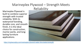 Marineplex Plywood – Strength Meets Reliability