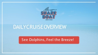 Experience Shark Boat Johns Pass Daily Dolphin Cruise