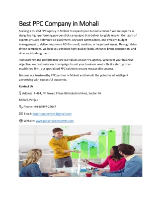 Best PPC Company in Mohali