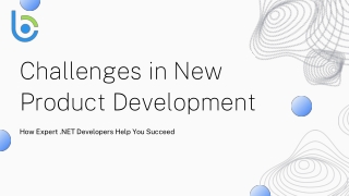 Challenges in New Product Development – How Expert .NET Developers Can Help