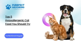 hypoallergenic cat food