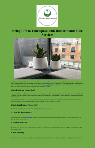 Bring Life to Your Space with Indoor Plants Hire Services