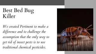 Best Bed Bug Killer