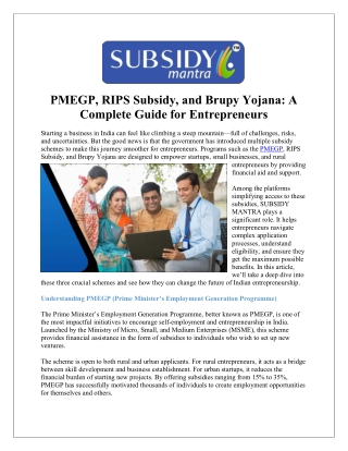 Apply Now for PMEGP Scheme with Expert Help from Subsidy Mantra