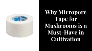 Why Micropore Tape for Mushrooms is a Must-Have in Cultivation