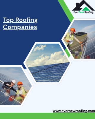 Top Roofing Companies – Why EverNew Roofing Leads the Way