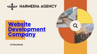 Website Development Company in Panchkula.