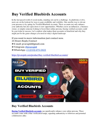 Best place to buy a verified Bluebird account in the US in 2025/2026