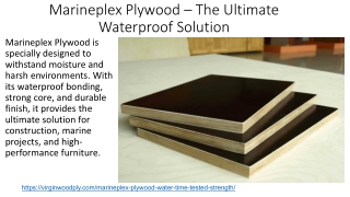 Marineplex Plywood – The Ultimate Waterproof Solution
