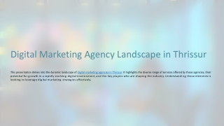 Digital Marketing Agency Land... (1)