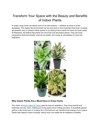 Indoor Plants for Home | Decorative & Air-Purifying Plants