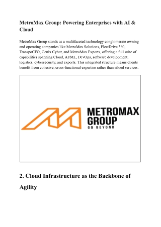 MetroMax Group Minority-Owned Tech Innovator