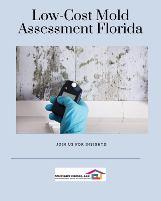 Low-Cost Mold Assessment Florida | Mold Safe Homes