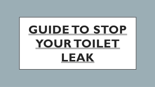 Guide to STOP Your Toilet Leak