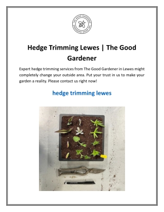 Hedge Trimming Lewes