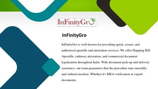 Hire Experts for Driving License Apostille  MEA Embassy Attestation