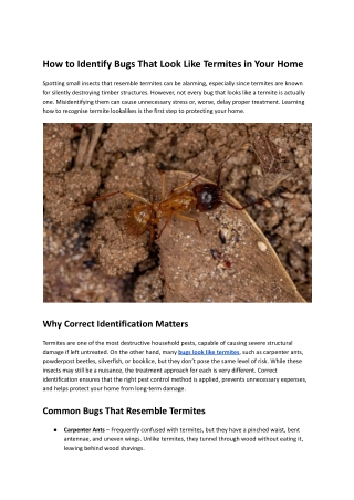 How to Identify Bugs That Look Like Termites in Your Home