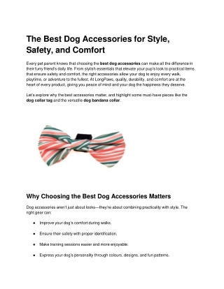 The Best Dog Accessories for Style, Safety, and Comfort