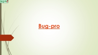 Professional Pest Control Services in Nigeria