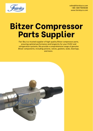 Bitzer Compressor Parts Supplier