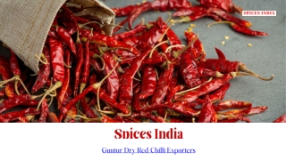 Guntur Dry Red Chilli Exporters