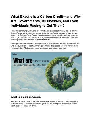 carbon credit (4)