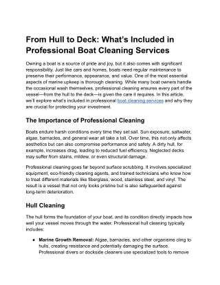 Boat Cleaning Services