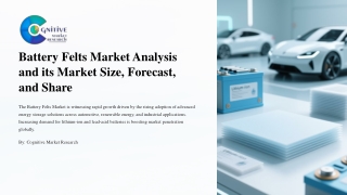 Battery Felts Market Analysis and its Market Size, Forecast, and Share