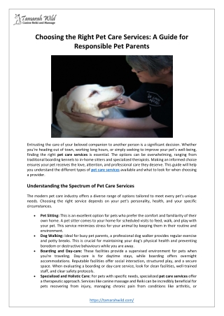 Choosing the Right Pet Care Services: A Guide for Responsible Pet Parents