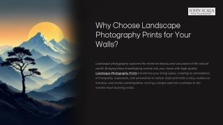 Why choose landscape photography prints for your walls