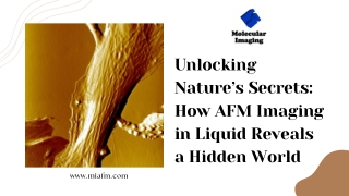 Unlocking Nature’s Secrets How AFM Imaging in Liquid Reveals a Hidden World