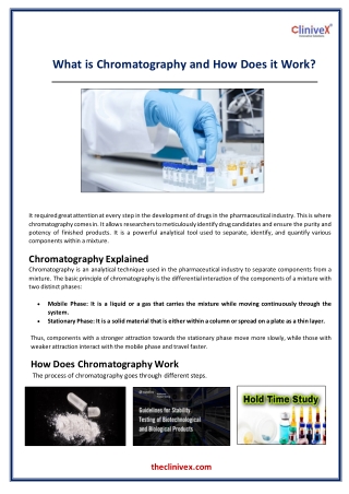 What is Chromatography and How Does it Work.docx