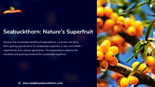 ladakh sea buckthorn (1)