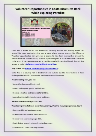 Volunteer opportunities in costa Rica