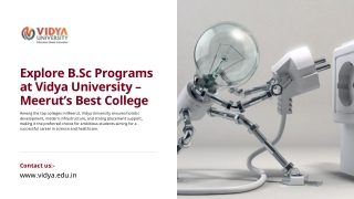 Explore B.Sc Programs at Vidya University – Meerut’s Best College