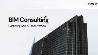 BIM Consulting Services
