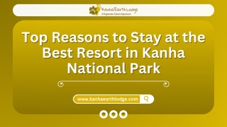 Top Reasons to Stay at the Best Resort in Kanha National Park