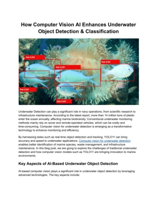 How AI-Powered Computer Vision Transforms Underwater Object Detection and Classification