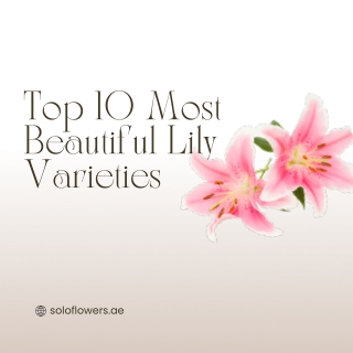 Top 10 Most Beautiful Lily Varieties