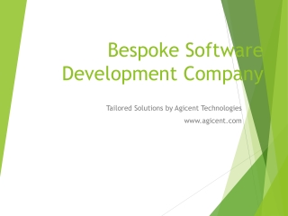 Bespoke Software Development Company