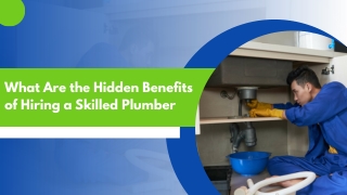 Expert Water Line and Drain Repairs