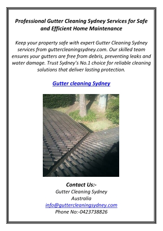 Professional Gutter Cleaning Sydney Services for Safe and Efficient Home