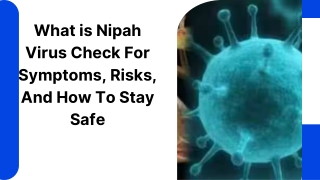 What is Nipah Virus Check For Symptoms, Risks, And How To Stay Safe