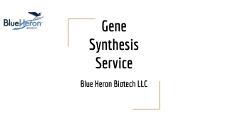 Gene Synthesis Service