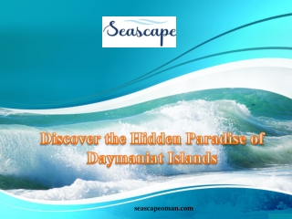 Discover the Hidden Paradise of Daymaniat Islands