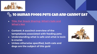 10 Human Foods Pets Can and Cannot Eat