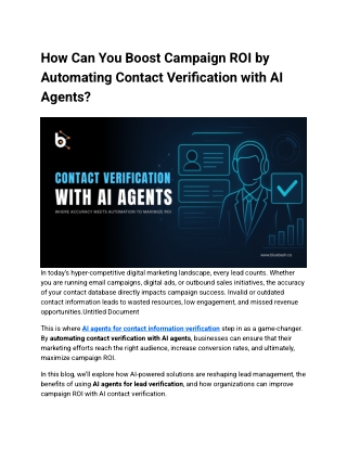 Boost Campaign ROI with AI Contact Verification | Bluebash
