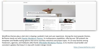Top Wordpress Themes